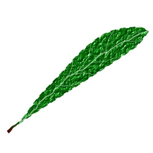 Green leaf, textured