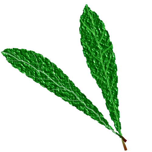 Teksturert grønne blader