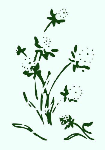 Clover vector image