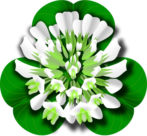 Clover Flower