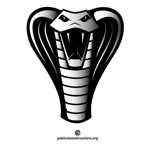 Cobra snake illustration