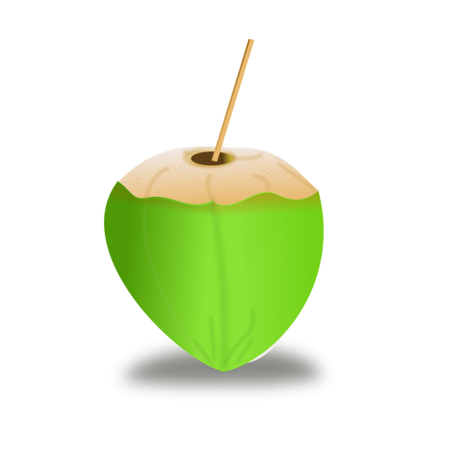Groene kokosnoot vector afbeelding