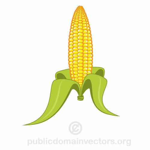 Gráficos vectoriales de maíz