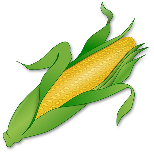 新鲜玉米形象
