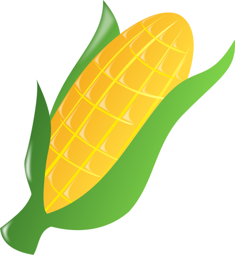 Corn on the cob 2