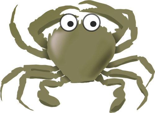 Krab zielony