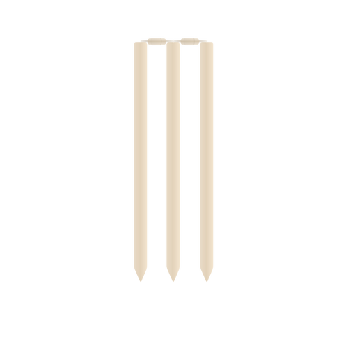 Cricket-Stümpfe und Schienen-Vektor-Bild