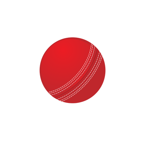 Cricket ball vector de la imagen