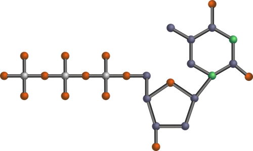 TTP model