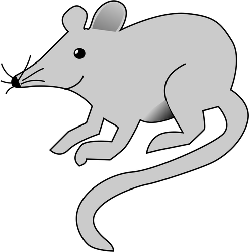 Rat vector afbeelding