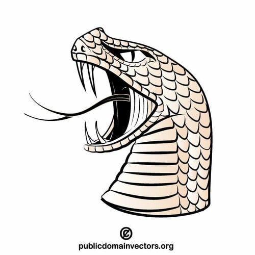 危険なヘビの頭