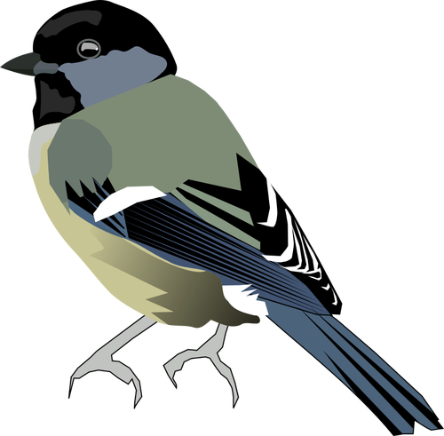 グレー前面色鳥のベクトル画像