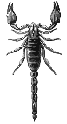 Skorpion w skali odcieni szarości wektorowej