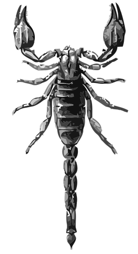 Scorpion Graustufen Vektorgrafik