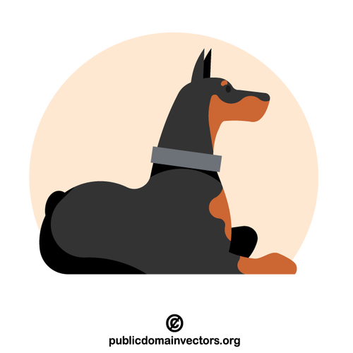 Chien doberman animal de compagnie