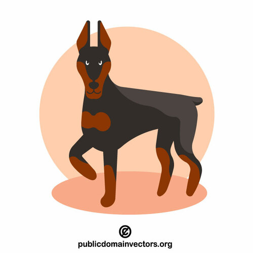 Dobermann Pinscher Hund