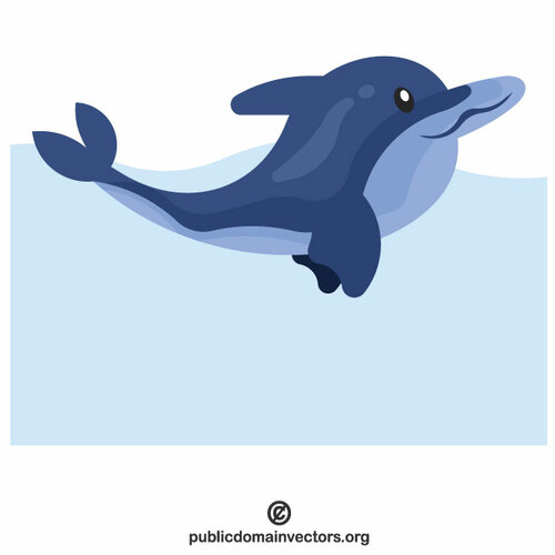 Dolphin in the sea