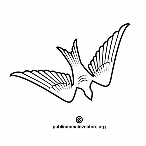 Dove vector graphics