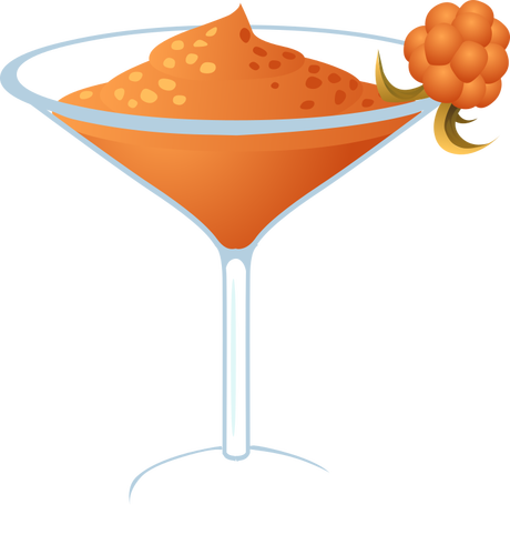 Daiquiri garnished with cloudberry vector image