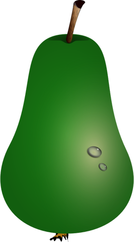 Vector illustration of pear