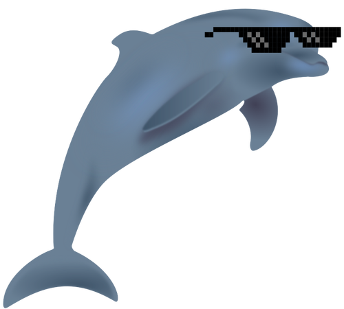 Cool dolphin