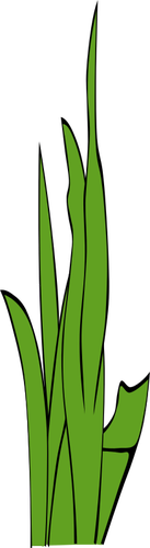Blätter der Grass-Vektor-illustration