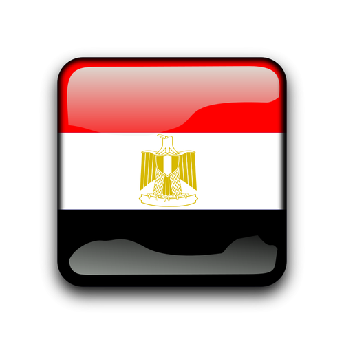 Pulsante Web con bandiera Egitto