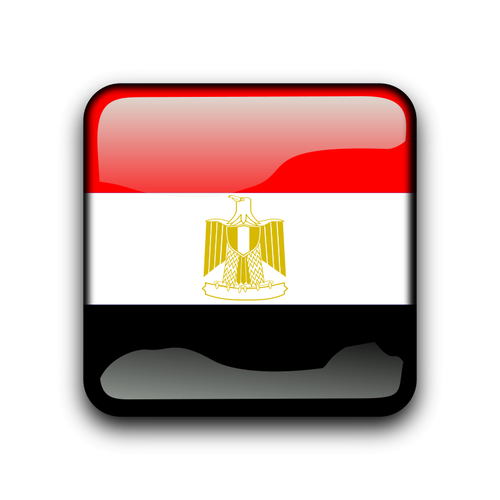 زر ويب مع مصر العلم