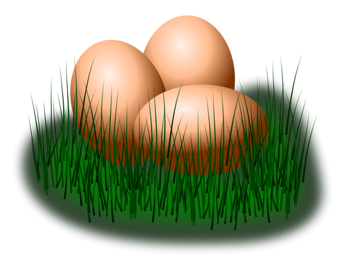 घास वेक्टर छवि में अंडे