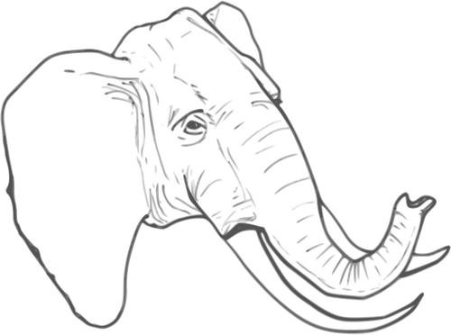 Lijn kunst vector tekening van olifant