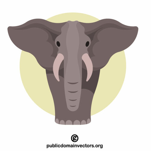 Elephant with big ears