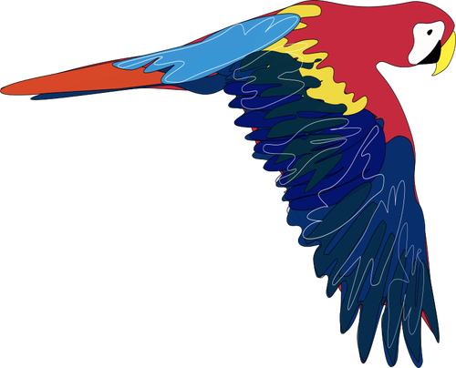 Vektor grafis dari macaw terbang