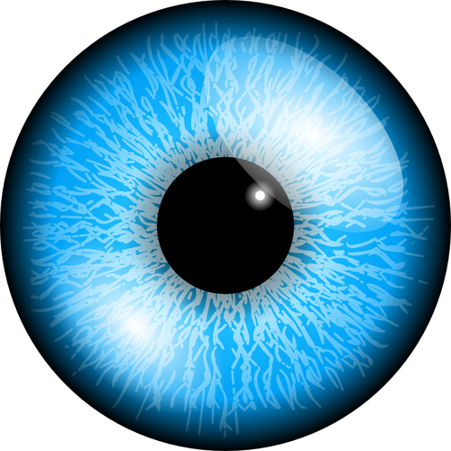 בתמונה וקטורית העין הכחולה