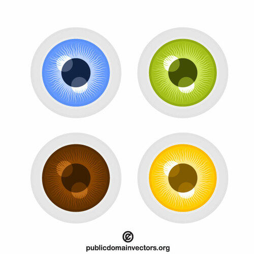 Des yeux colorés vector clipart