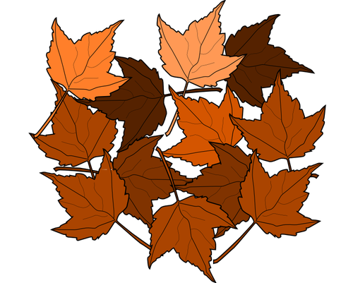 棕色的秋叶矢量绘图