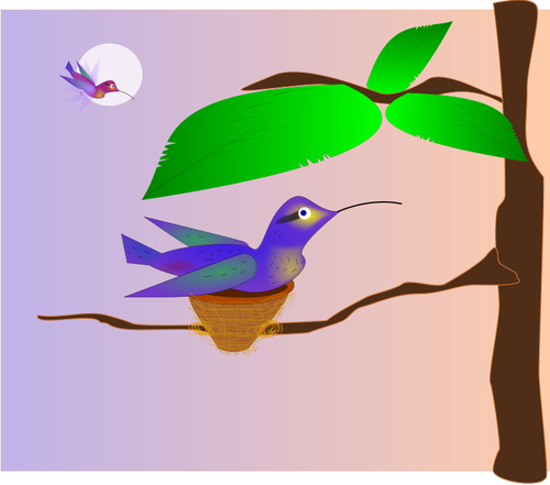 ClipArt-bilder av blue bird i ett bo på ett träd