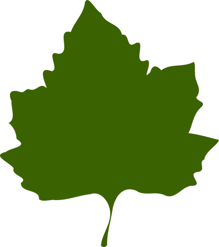 Green autumn leaf vector drawing