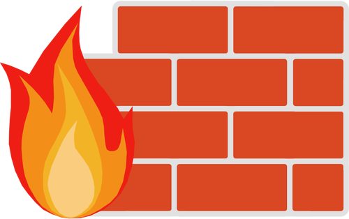 Vector de la imagen color de firewall para redes informáticas