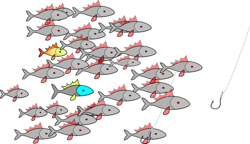 Shoal de fish