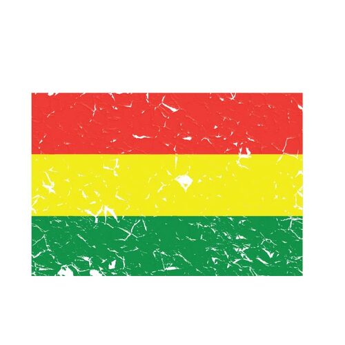 Bandera de Bolivia con partes peladas