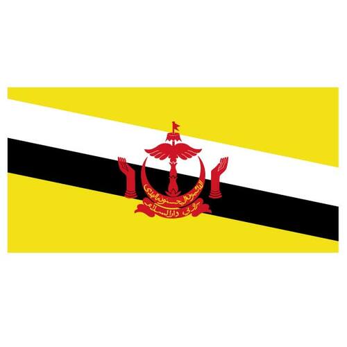 Vectorul Drapelul Brunei