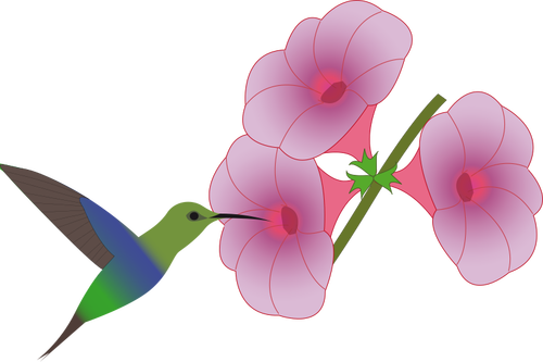 Pasărea Colibri cules de pe o ilustraţie de flori
