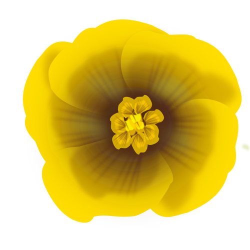 Härlig gul blomma