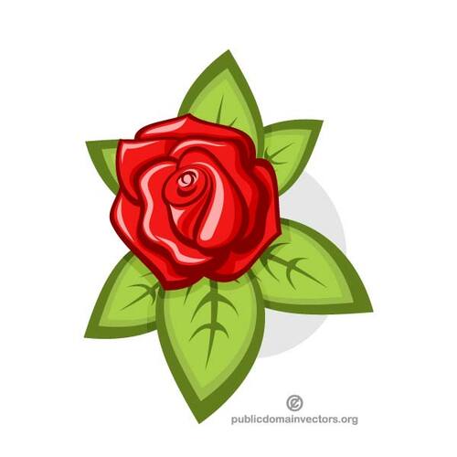 Rosa rossa con il foglio verde