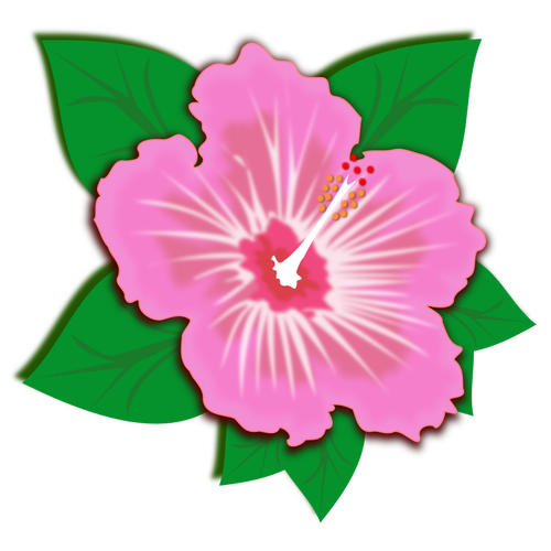 Pink flower with green leaves