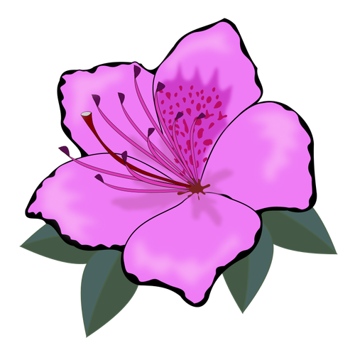 Roze bloem clip art graphics