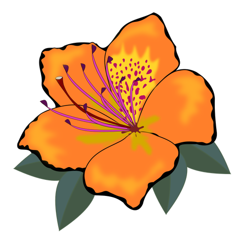 Orange de fleurs avec feuilles