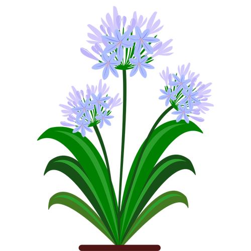 Sininen kukat vektori kuva