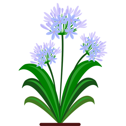 Vector de flores de color azul la imagen