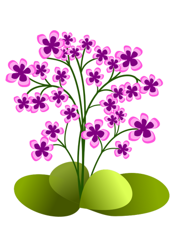 Malé květy